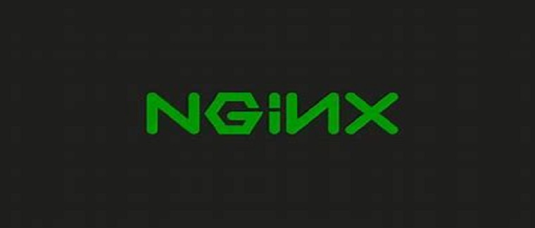 Nginx入门